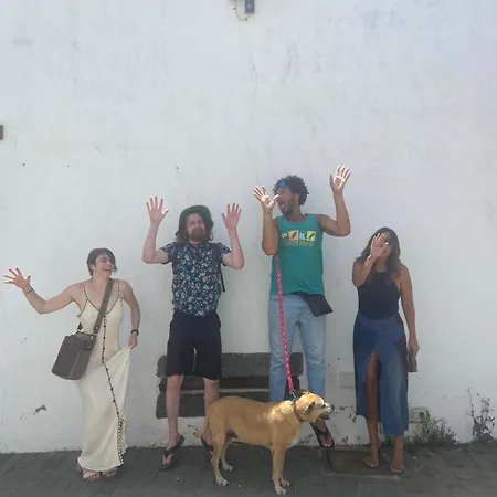 Oda ve Kahvaltı Backpackerroom's