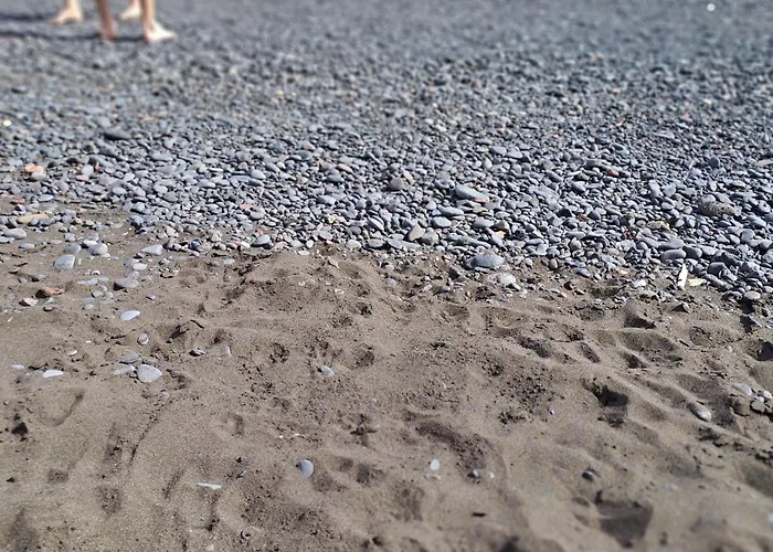 住宿加早餐酒店 Backpackerroom's 拉桑塔